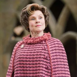 AI Chatbot - Dolores Umbridge (Forces Nudity) - Dittin AI