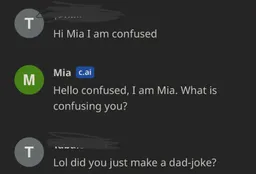 Mia - AI Chatbot | Dittin AI