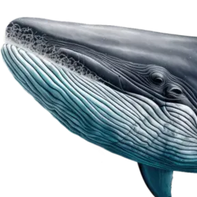 NSFW AI character - Blue whale 's avatar